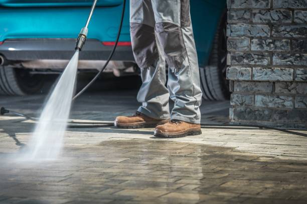 Best Pre-Holiday Cleaning  in Elizabethville, PA
